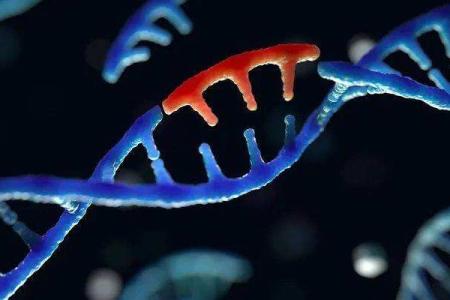 人类基因组数目是多少